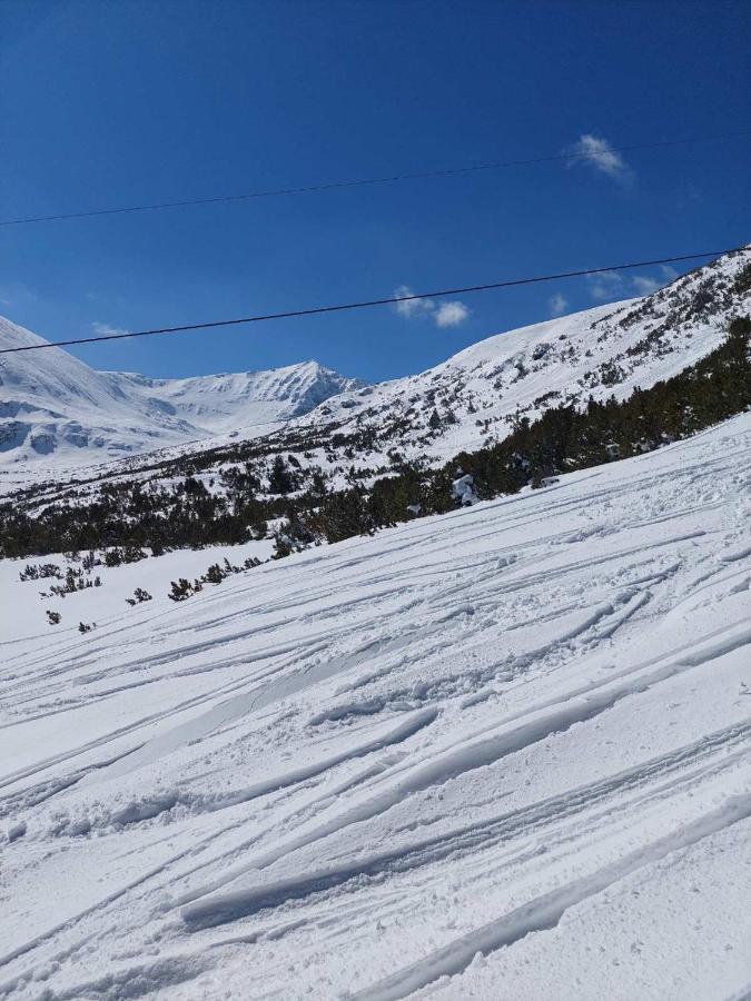 Semiramida Gardens Apartments Borovets Exterior foto